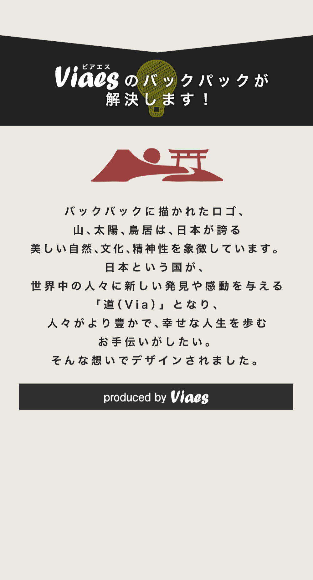 Viaes(ビアエス) VSY-001 代理店広告LP