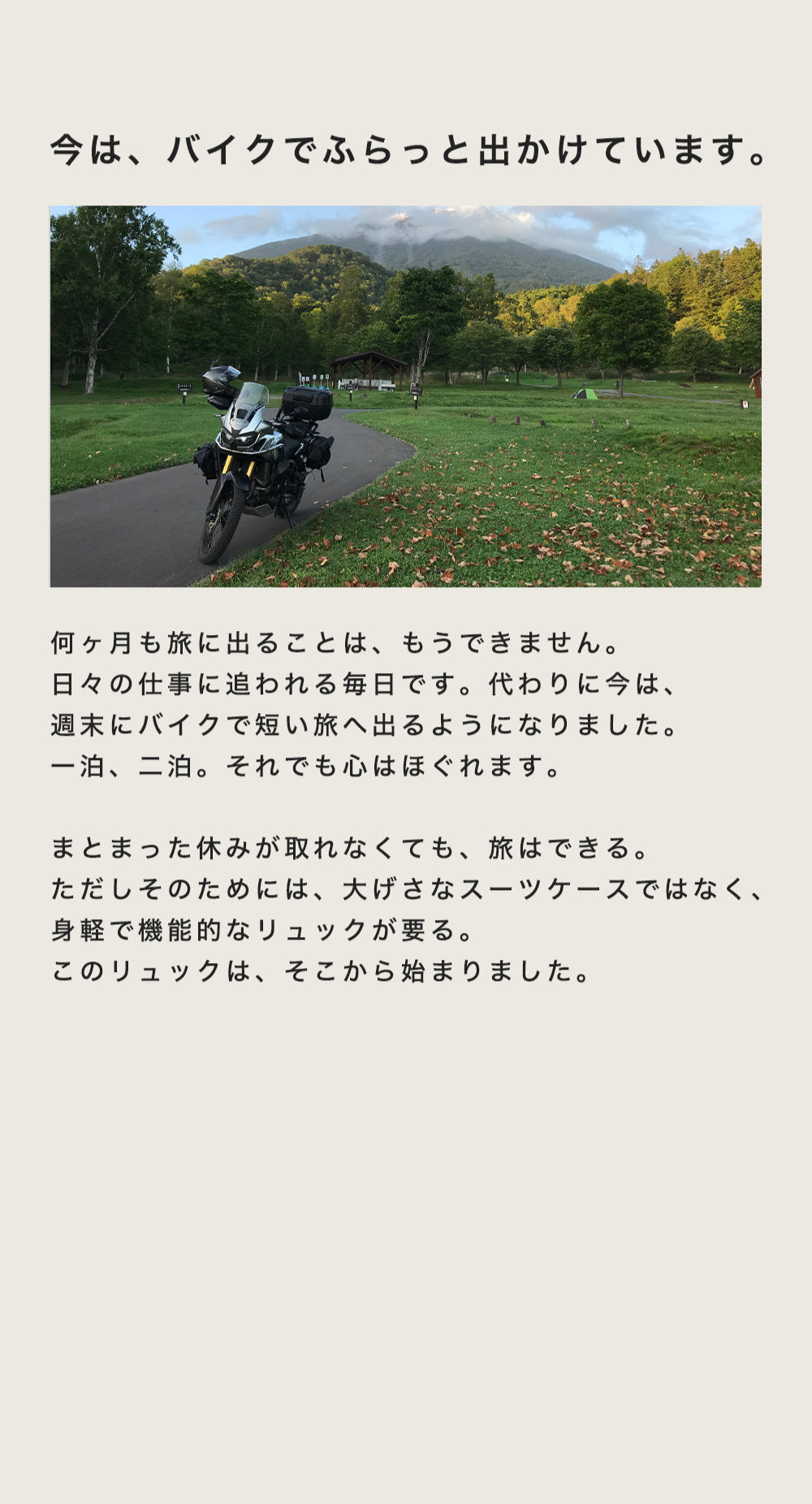 Viaes(ビアエス) VSY-001 代理店広告LP